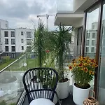 Czarny Slon - Elegancki Z Klimatem