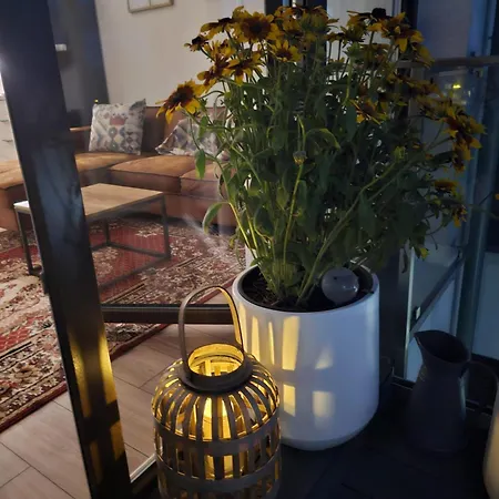 Apartman Czarny Slon - Elegancki Z Klimatem Częstochowa