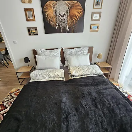 Czarny Slon - Elegancki Z Klimatem Apartman Częstochowa