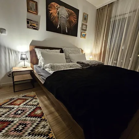 Appartement Czarny Slon - Elegancki Z Klimatem Częstochowa