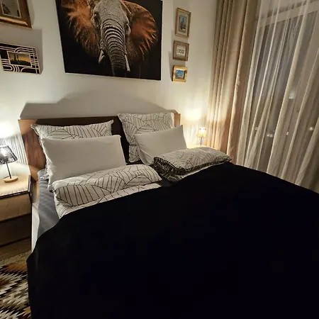 Czarny Slon - Elegancki Z Klimatem *