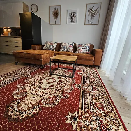 Apartament Czarny Słoń - Elegancki Z Klimatem Częstochowa