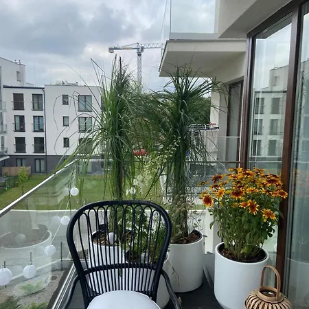 Czarny Slon - Elegancki Z Klimatem