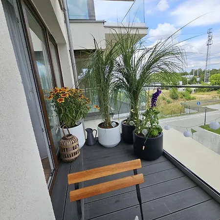 Czarny Slon - Elegancki Z Klimatem Apartman Częstochowa