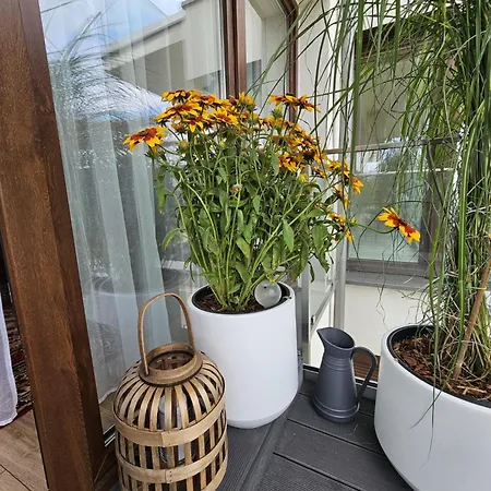 Apartman Czarny Slon - Elegancki Z Klimatem Częstochowa