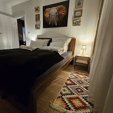 Czarny Słoń - Elegancki Z Klimatem Apartament Częstochowa