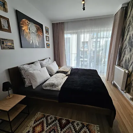 Czarny Slon - Elegancki Z Klimatem Apartman Częstochowa