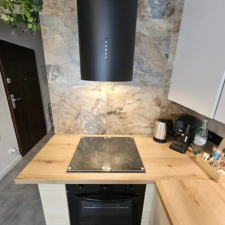 Apartament Czarny Słoń - Elegancki Z Klimatem Częstochowa