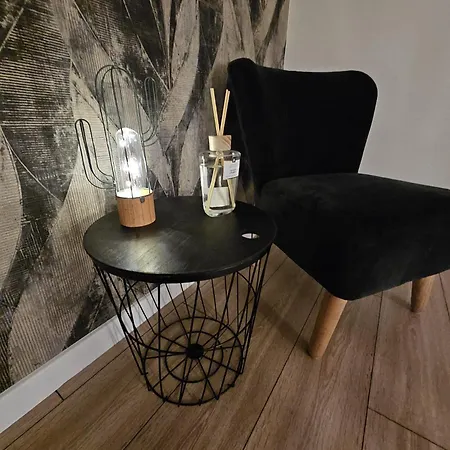 Czarny Słoń - Elegancki Z Klimatem Apartament Częstochowa