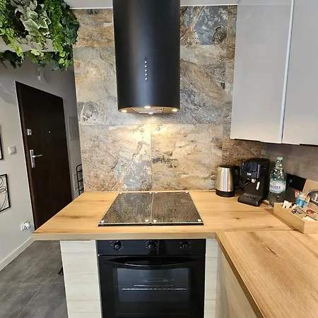 Apartament Czarny Słoń - Elegancki Z Klimatem Częstochowa