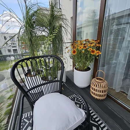 Czarny Slon - Elegancki Z Klimatem