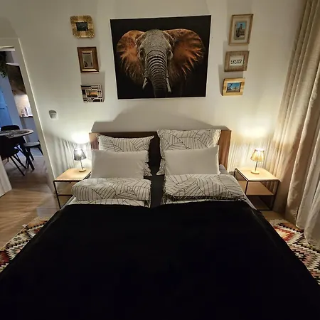 Czarny Slon - Elegancki Z Klimatem Apartman Częstochowa