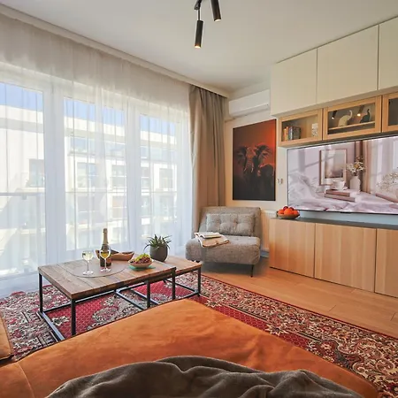 Czarny Slon - Elegancki Z Klimatem Appartement Częstochowa