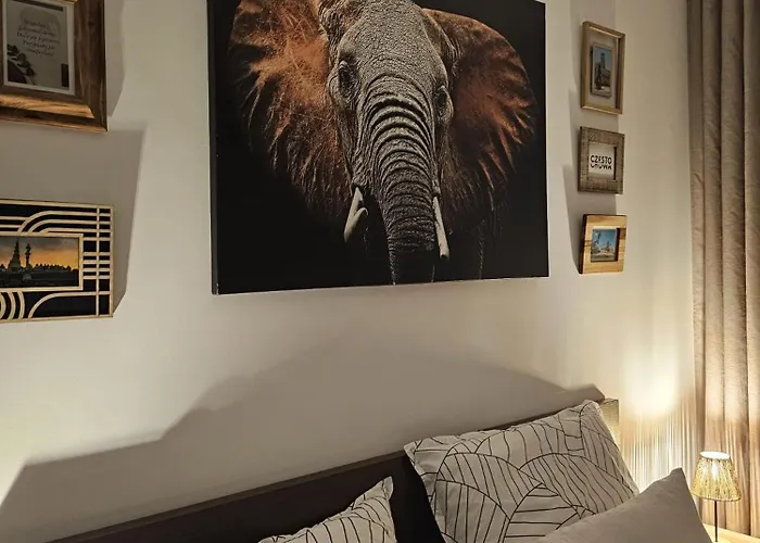Apartmán Czarny Slon - Elegancki Z Klimatem Čenstochová