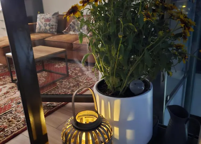 Apartmán Czarny Slon - Elegancki Z Klimatem Čenstochová