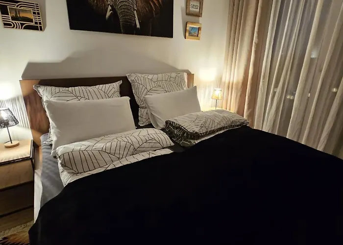 Czarny Slon - Elegancki Z Klimatem *