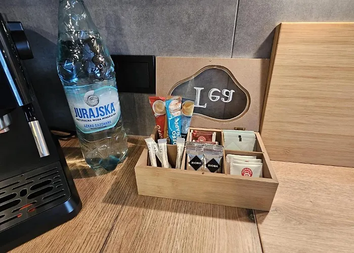 Czarny Slon - Elegancki Z Klimatem * Čenstochová