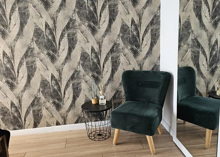 Czarny Slon - Elegancki Z Klimatem Apartmán *