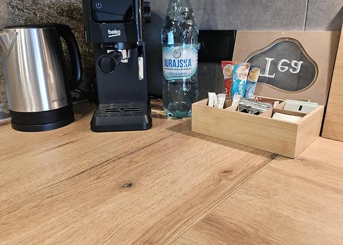 Czarny Slon - Elegancki Z Klimatem Apartmán Čenstochová