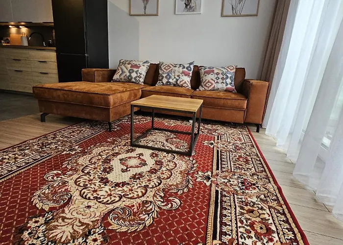 Apartmán Czarny Slon - Elegancki Z Klimatem Čenstochová