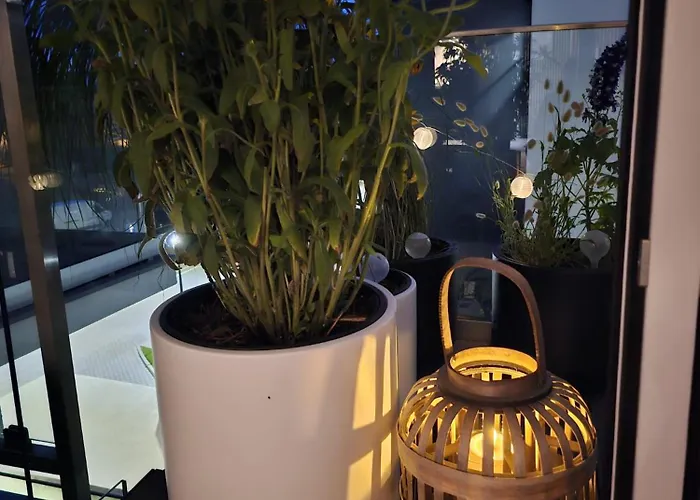 Czarny Slon - Elegancki Z Klimatem * Čenstochová