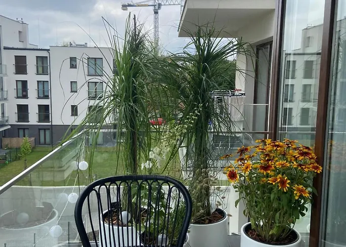 Czarny Slon - Elegancki Z Klimatem