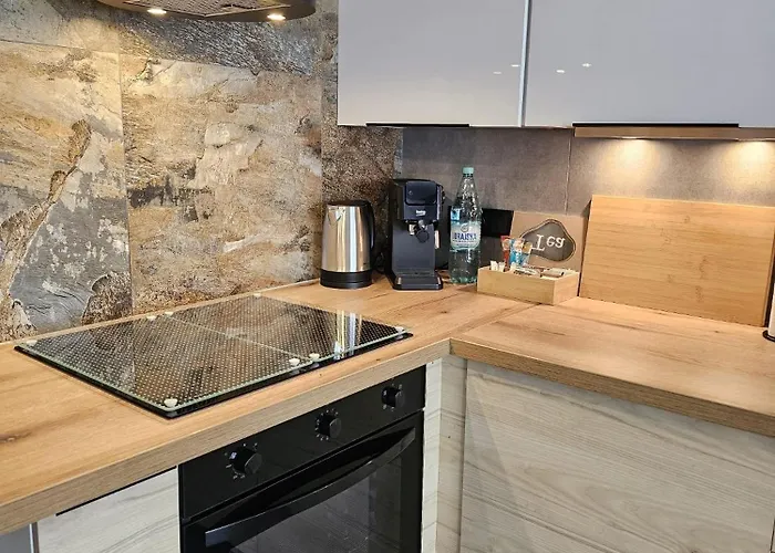 Czarny Slon - Elegancki Z Klimatem Apartmán Čenstochová