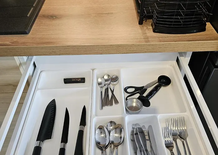 Apartmán Czarny Slon - Elegancki Z Klimatem Čenstochová