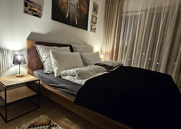 Czarny Slon - Elegancki Z Klimatem *