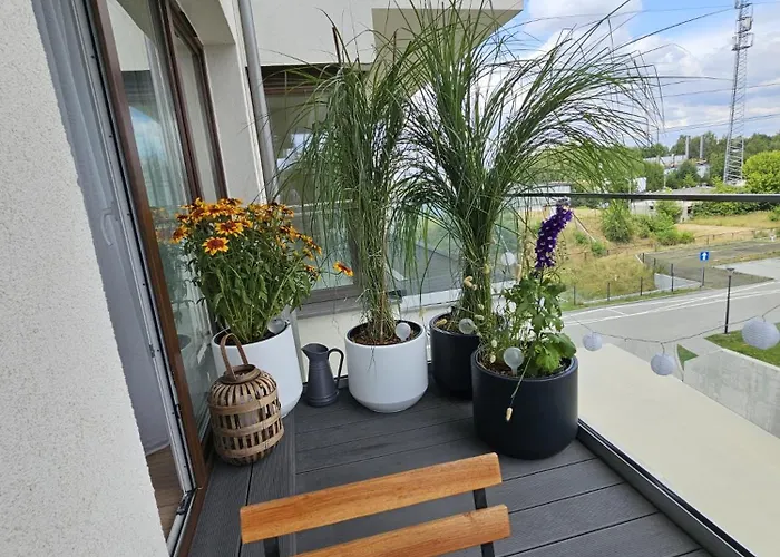 Czarny Slon - Elegancki Z Klimatem Apartmán Čenstochová