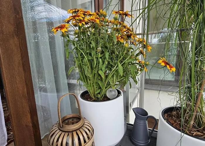 Apartmán Czarny Slon - Elegancki Z Klimatem Čenstochová