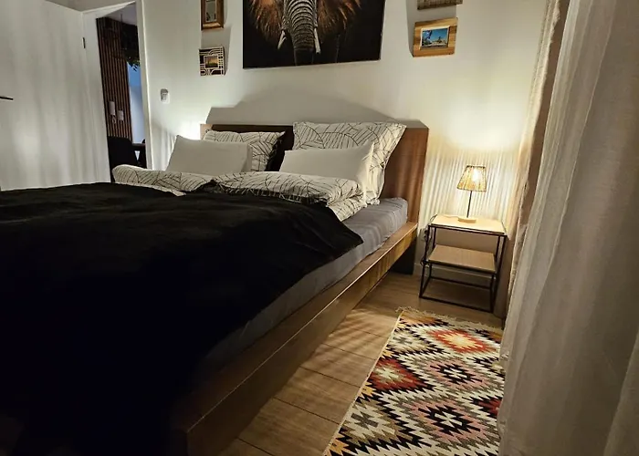 Czarny Slon - Elegancki Z Klimatem Apartmán Čenstochová