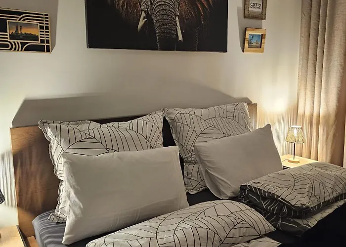 Apartmán Czarny Slon - Elegancki Z Klimatem