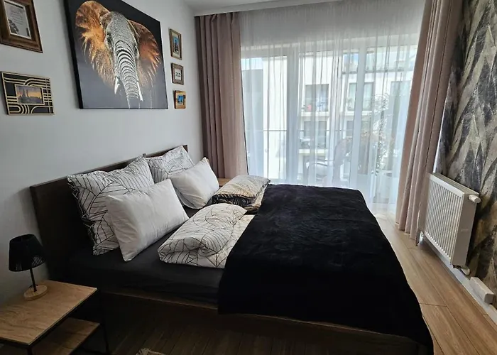 Czarny Slon - Elegancki Z Klimatem Apartmán Čenstochová