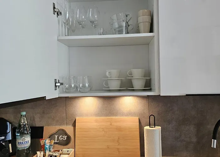 Apartmán Czarny Slon - Elegancki Z Klimatem Čenstochová