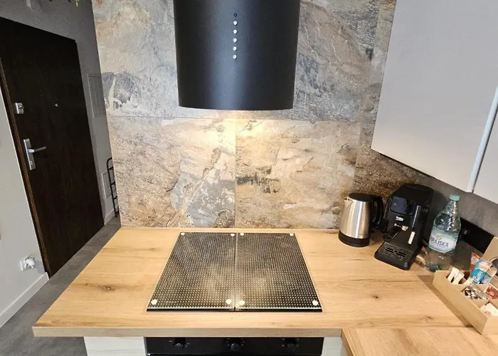 Apartmán Czarny Slon - Elegancki Z Klimatem Čenstochová