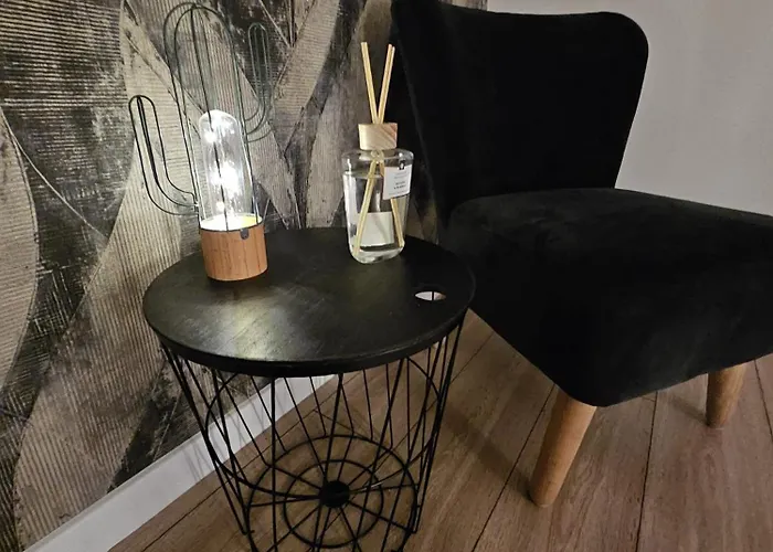 Czarny Slon - Elegancki Z Klimatem Apartmán Čenstochová