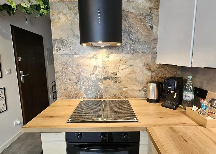 Apartmán Czarny Slon - Elegancki Z Klimatem Čenstochová