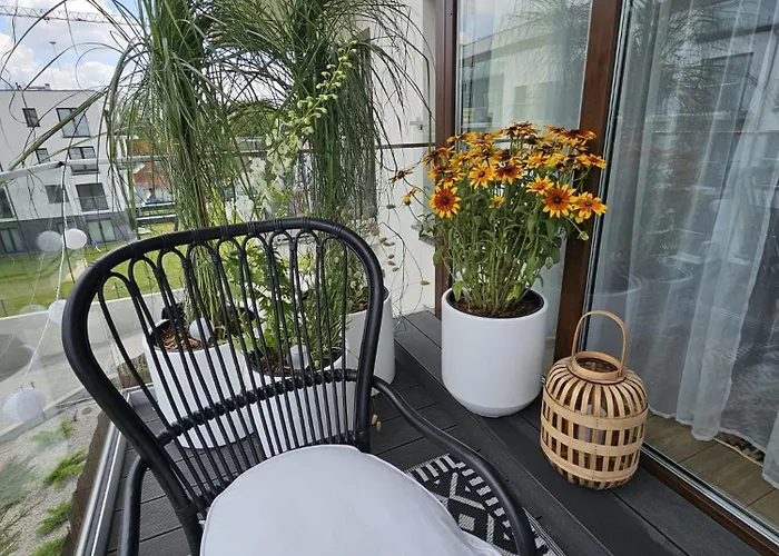 Czarny Slon - Elegancki Z Klimatem