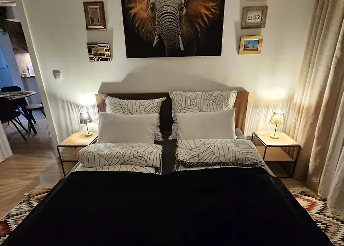Czarny Slon - Elegancki Z Klimatem Apartmán Čenstochová